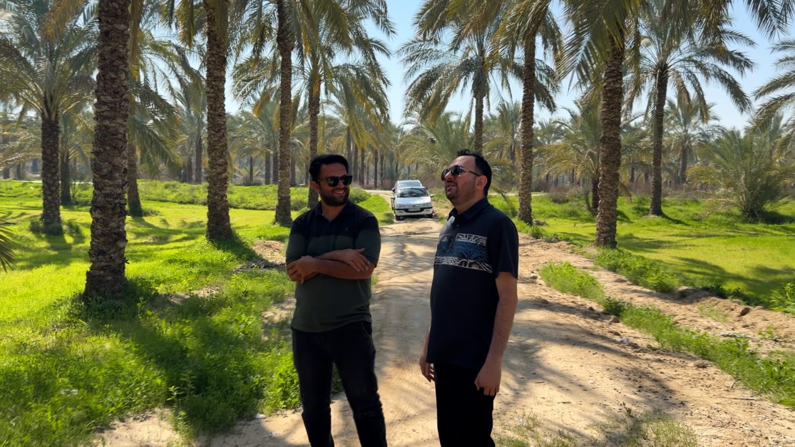 بنیان‌گذاران نخل من ایستاده در مسیر خاکیِ میان نخل‌های سرسبز نخلستان جنوب