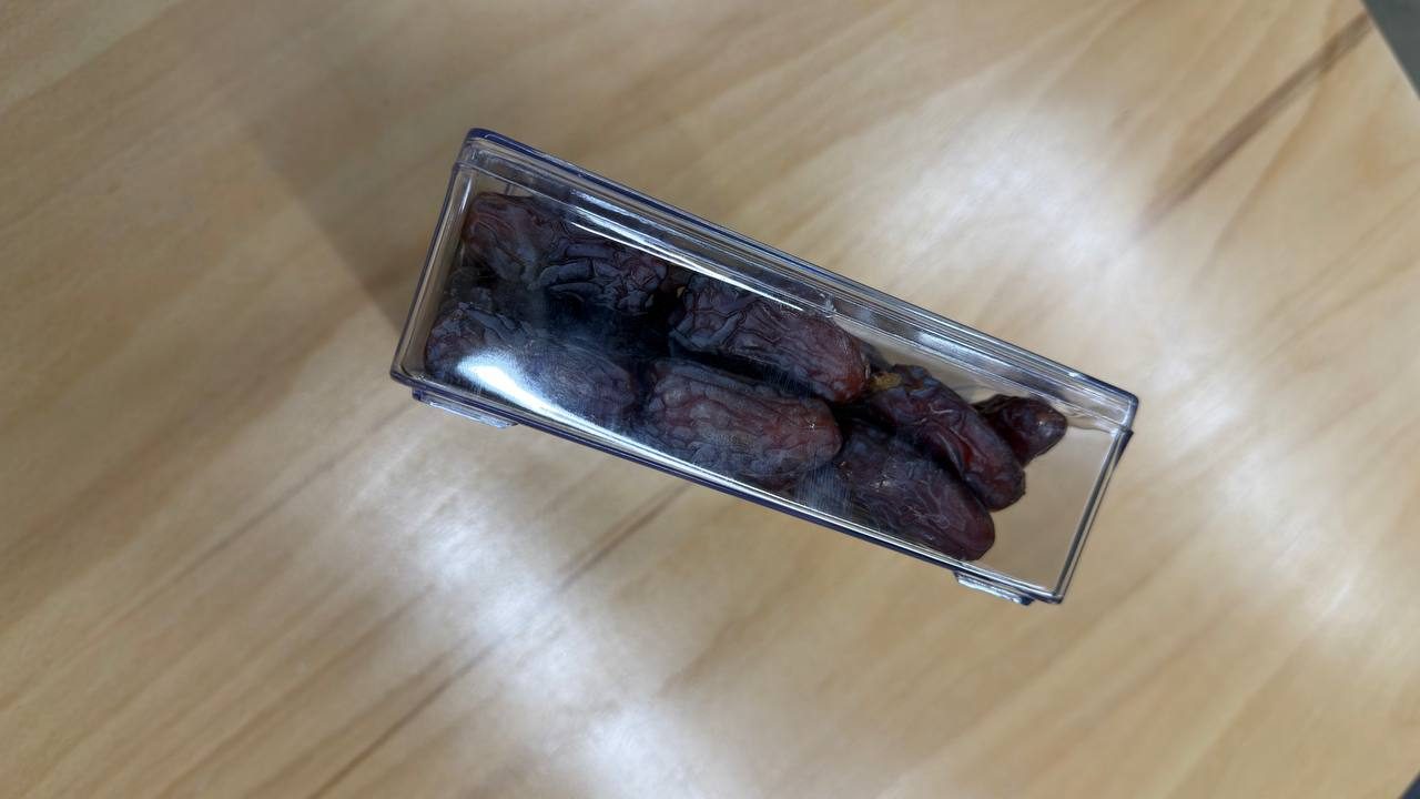 خرمای مجول
