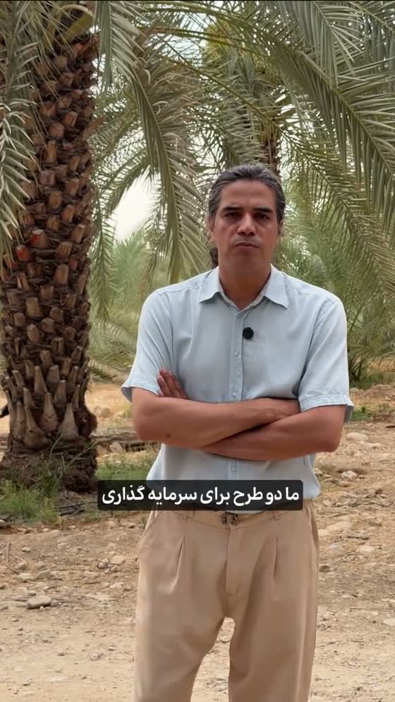 دو طرح نخل من و نخلستان من