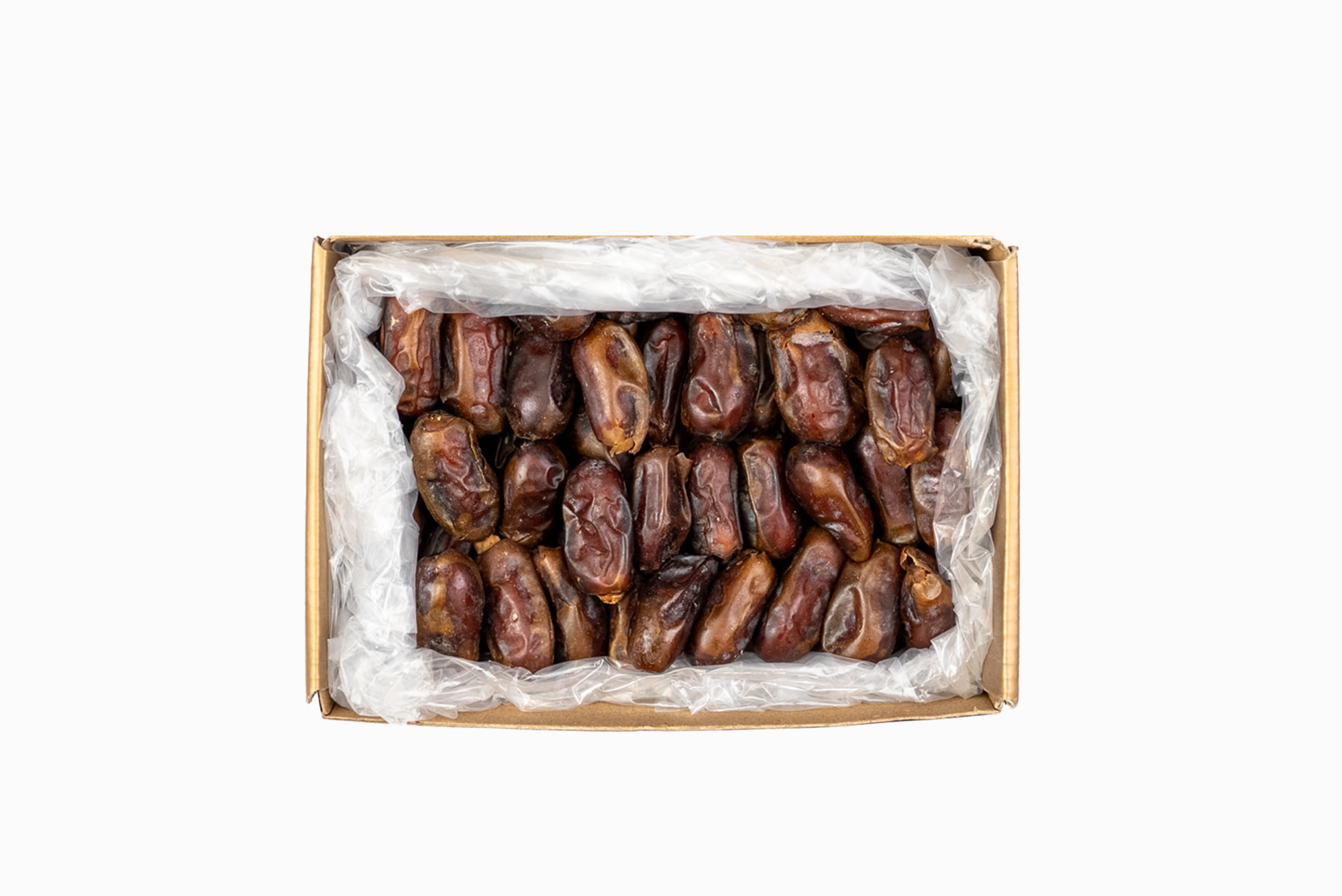 استعمران1 (2)