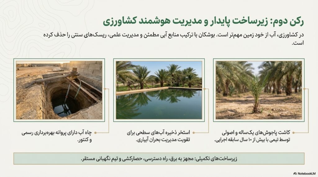 Bushkan_Medjool_Dossier_page-0008
